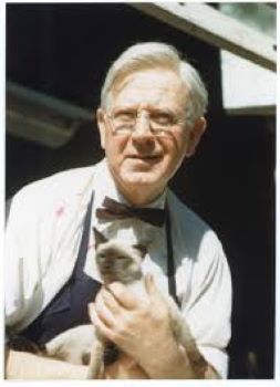 photograph